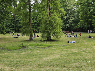 Maksimir