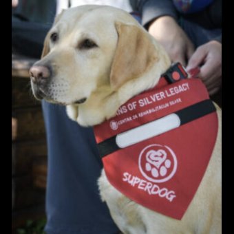 ANNUAL AWARD #HEROSOCIALIZER FOR SPECIAL CONTRIBUTION TO THE SOCIALIZATION PROGRAM OF ASSISTING DOGS