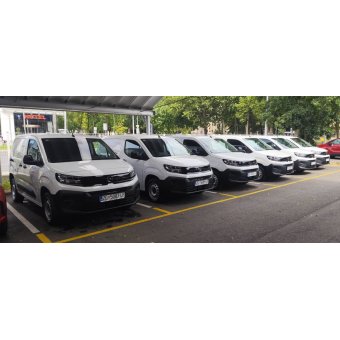 Renewal of the fleet of commercial delivery vehicles